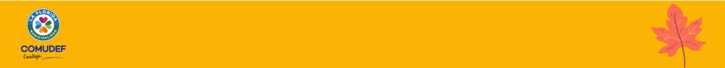 COMUDEF